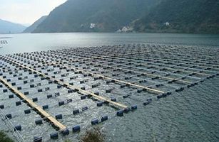 aoa官网登录发布《地方水产养殖业水污染物排放控制标准制订技术导则》